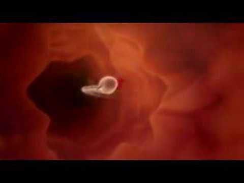 sperma-in-cervix1